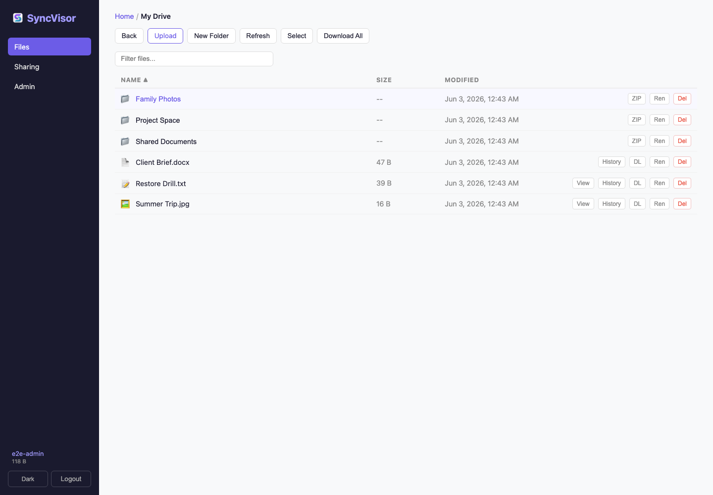 SyncVisor WebUI files view showing folders and files.